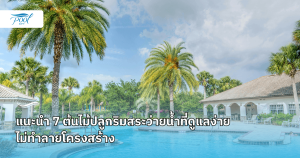 ต้นไม้ปลูกริมสระว่ายน้ำที่ดูแลง่าย ไม่ทำลายโครงสร้าง